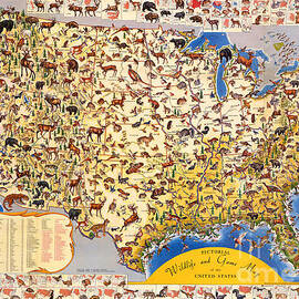 Pictorial Wildlife and Game map of the US