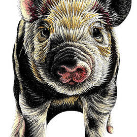 Piglet illustration by Loren Dowding