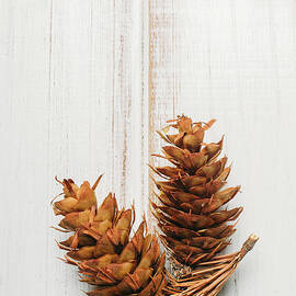 Pine cone on white wooden background. by Jelena Jovanovic