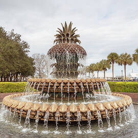 Pineapple Fountain in Charleston, SC by Katia Kovan