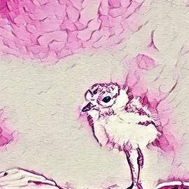 Pink Bird Print by Steven Livingston