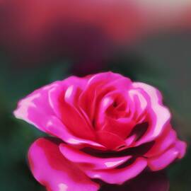 Pink Flower 9 by Lucie Dumas