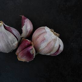 Pink Garlic by E Hollender