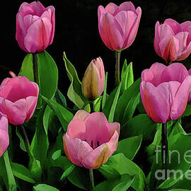 Pink Impressions - Springtime Tulips by Diana Mary Sharpton
