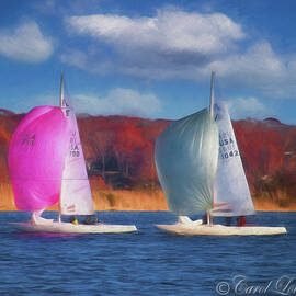 Pink Spinnaker Sails on the Connecticut River by Carol Lowbeer