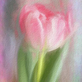 Pink Tulip with Effects by Lynn Bolt