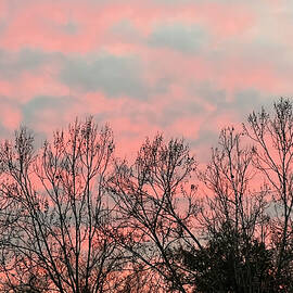 Pinkish Stripes in the Sky by Talia Almarsi