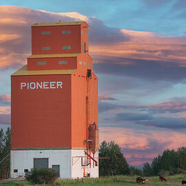 Pioneer Grain Elevator by Phil And Karen Rispin