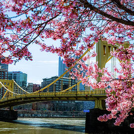 Pittsburgh in Bloom by Michael Hills