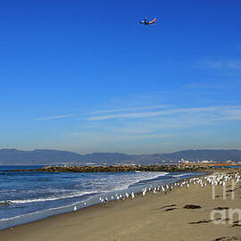 Plane takes off over Dockweiler Beach by Nina Prommer