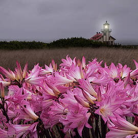 Point Cabrillo Lighthouse - Mendocino by Alinna Lee