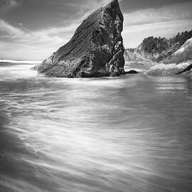 Point Meriwether Black and White by Adam Romanowicz