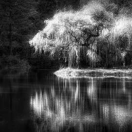 Pond Reflection Black and White