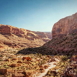 Portal Trail Overlook Trail Moab Utah by Joan Carroll