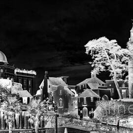 Portmeirion village 2, grayscale inverted by Paul Boizot