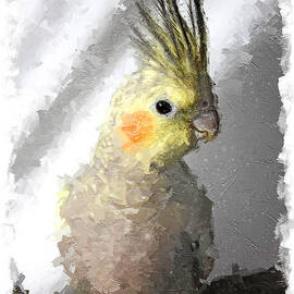 Portrait of a cockatiel oil by Gregory DUBUS