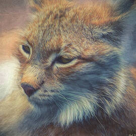 Portrait of a Lynx by Jutta Maria Pusl