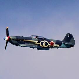 Profile Of A Yak 3 by Neil R Finlay