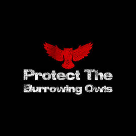 Protect The Burrowing Owls 2 by Lin Watchorn