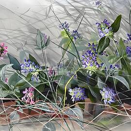 Prunella vulgaris L family  by From Natures Arms