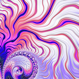 Psychedelic Fractal Spiral Purple Pink Blue Orange by Matthias Hauser