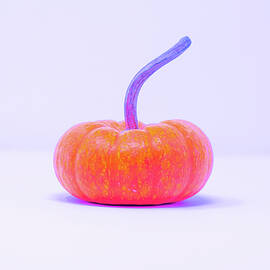 Pumpkin 636 PopArt 3 by Kristy Mack