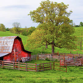 Pure Arkansas - Red Barn