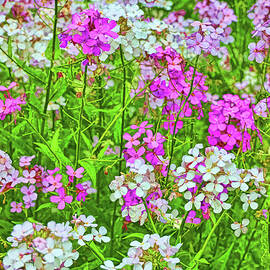 Purple and White Wildflowers - Photopainting by Allen Beatty