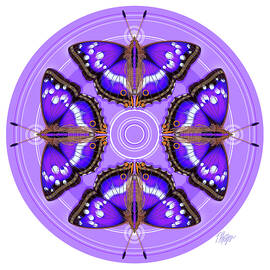 Purple Emperor Butterfly Puddle Mandala by Tim Phelps