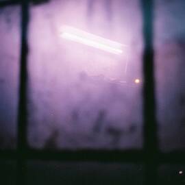 Purple haze by Barthelemy de Mazenod