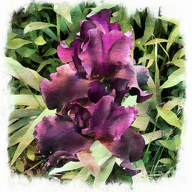 Purple Iris  by Luther Fine Art
