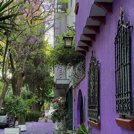 Purple  by Leslie Brashear