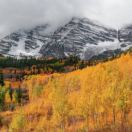 Quaking Aspens Under The Maroon Bells  by Ben Ford