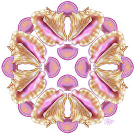 Queen Conch Pink Scallop Sea Shell #1 Mandala by Tim Phelps