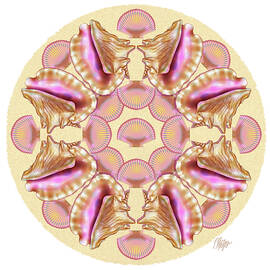 Queen Conch Pink Scallop Sea Shell #2 Mandala by Tim Phelps