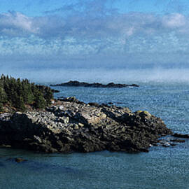Quoddy Head State Park Panorama by Marty Saccone