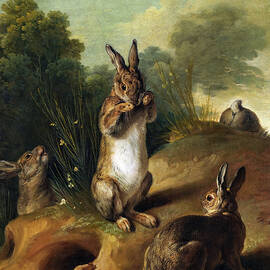 Rabbits by Francois Desportes