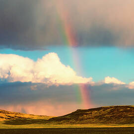 Rainbow in the Desert by Mike Lee