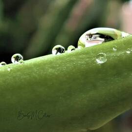 Raindrop House by Beverly M Collins