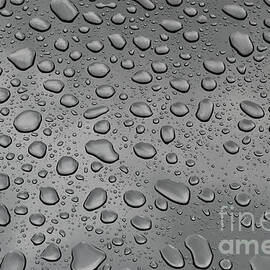 Raindrops are falling on my head by Debra Banks