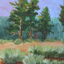 Ranch Pines by Nancy Merkle