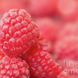 Raspberry by Delphimages Photo Creations
