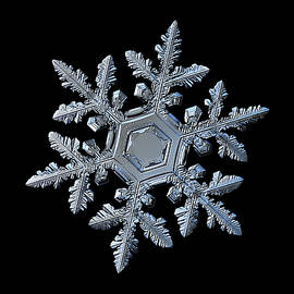 Real snowflake 2016-01-23_9300-8b by Alexey Kljatov