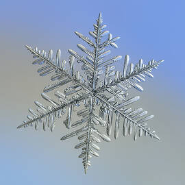 Real snowflake 2018-12-18_2o by Alexey Kljatov