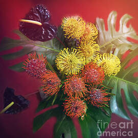 Red and Gold Proteas. by Trudee Hunter