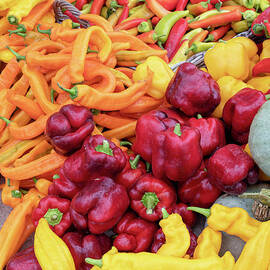 Red and Orange Peppers by Tim Gainey