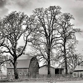 Red Barn - Carlton - Oregon - Black And White by Jack Andreasen
