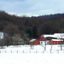 Red Barn In Snow by Living Color Photography Lorraine Lynch