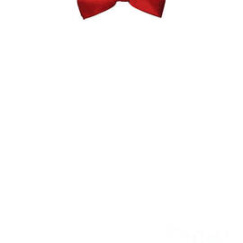 Red Bow Tie by Flippin Sweet Gear