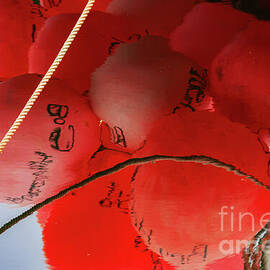Red buoys water reflection by Tatiana Travelways